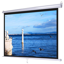 Màn Chiếu Treo Tường 84 INCH DALITE - Mã P84WS T